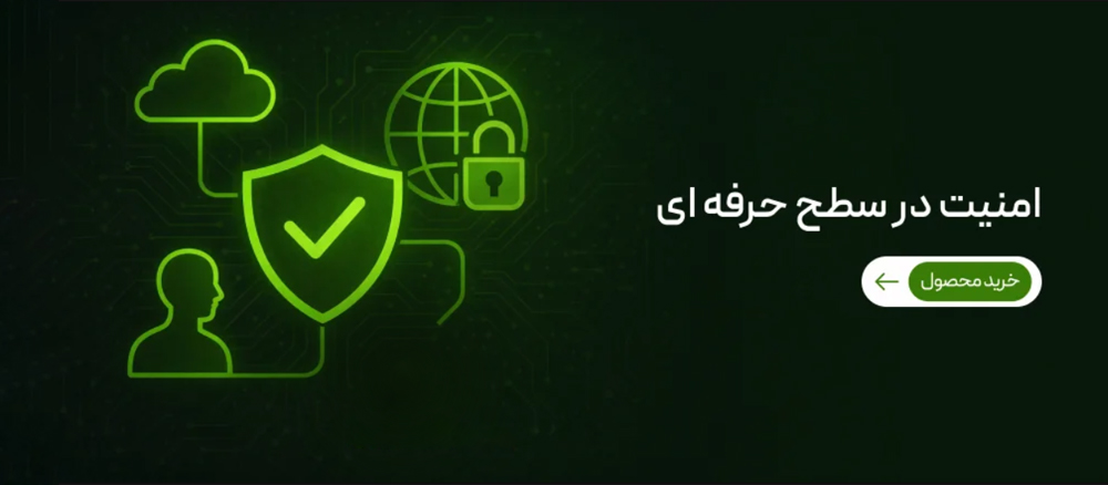 امنیت در سطح حرفه ای