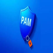مدیریت دسترسی راه دور ویژه (PAM)